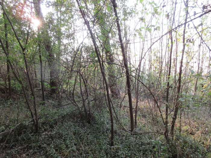 【 본 건 기호 24) 】