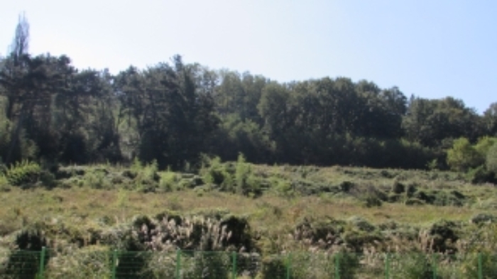 4번 ~ 26번 물건 묵전 전경