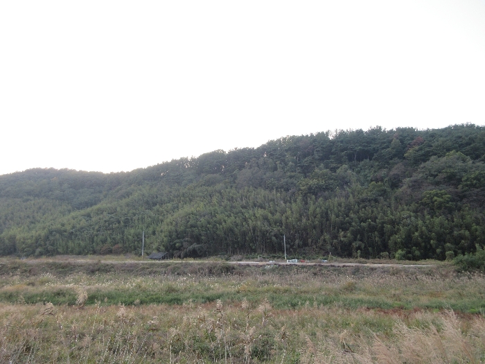 【 본 건 기호 26), 44), 45) 】