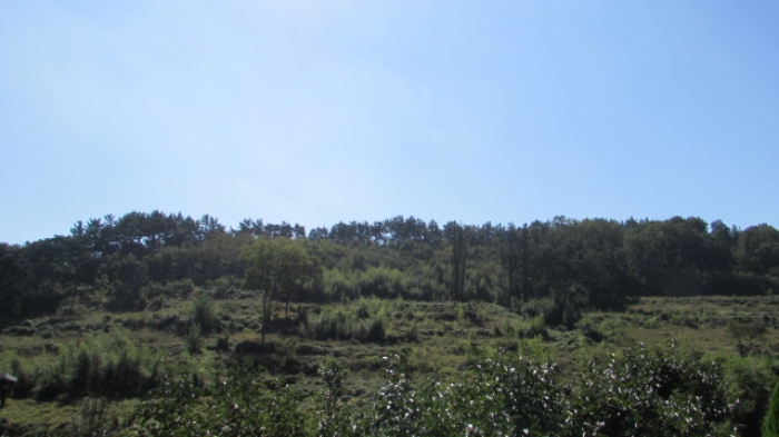 4번 ~ 26번 물건 묵전 전경