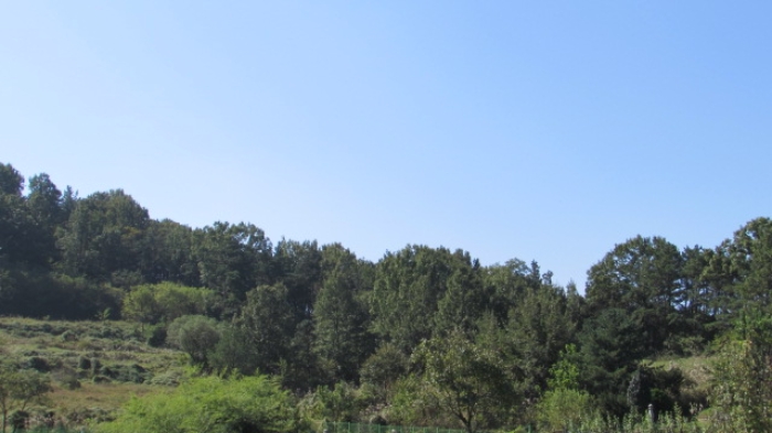 4번 ~ 26번 물건 묵전 전경