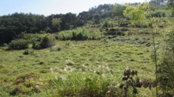 2번 물건 묵답 전경