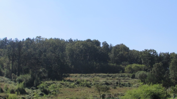 4번 ~ 26번 물건 묵전 전경