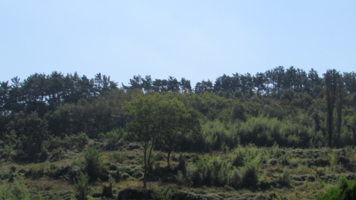 4번 ~ 26번 물건 묵전 전경