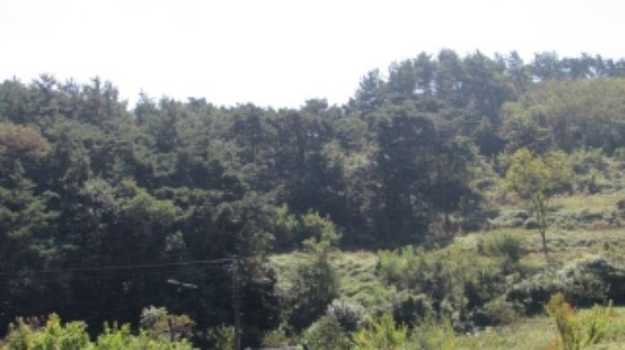 34번,35번,36번 묵전 전경