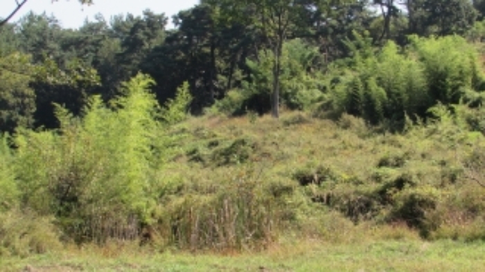 4번 ~ 26번 물건 묵전 전경