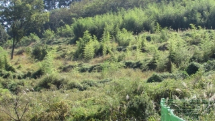 4번 ~ 26번 물건 묵전 전경