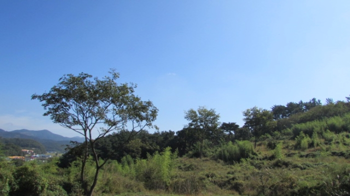 4번 ~ 26번 물건 묵전 전경