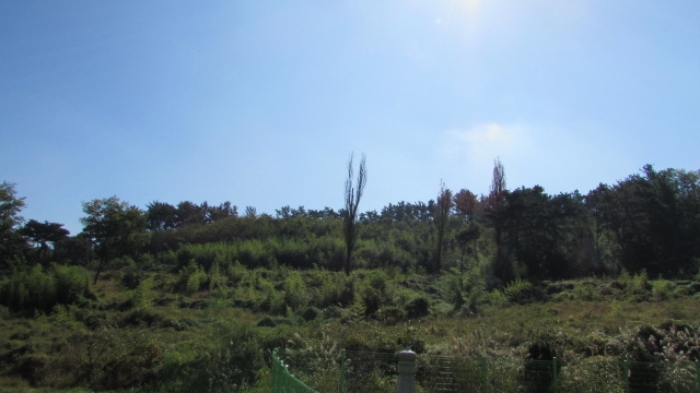 4번 ~ 26번 물건 묵전 전경