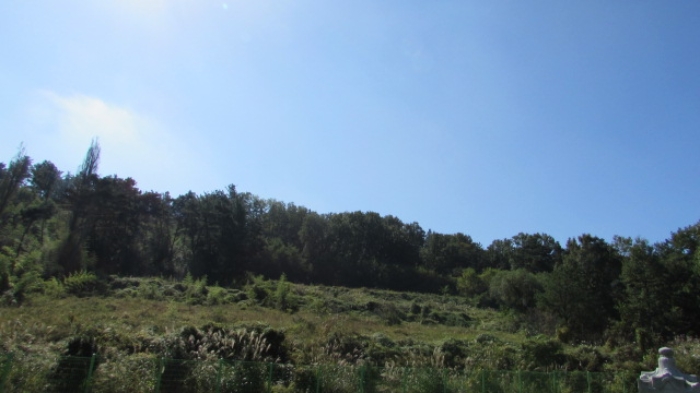 4번 ~ 26번 물건 묵전 전경