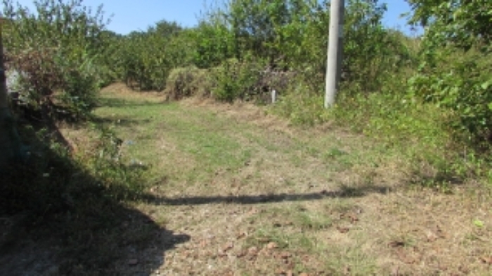 29번 잡종지 전경