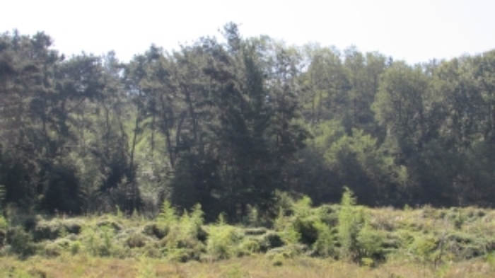 4번 ~ 26번 물건 묵전 전경