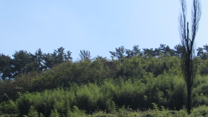 4번 ~ 26번 물건 묵전 전경