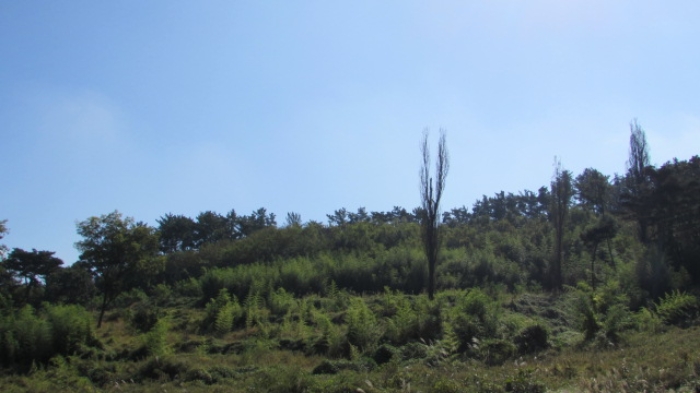 4번 ~ 26번 물건 묵전 전경