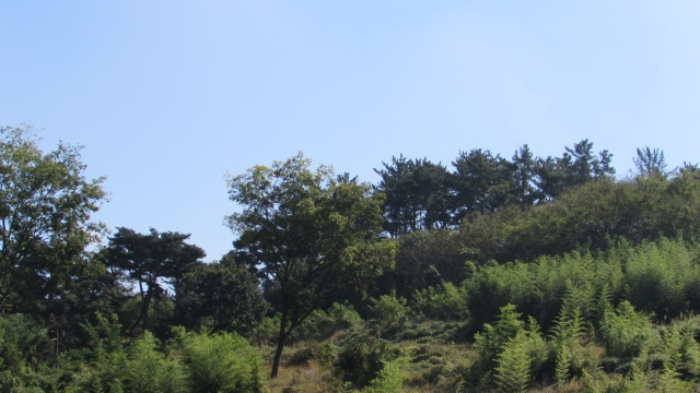 4번 ~ 26번 물건 묵전 전경