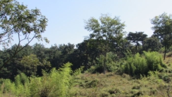 4번 ~ 26번 물건 묵전 전경