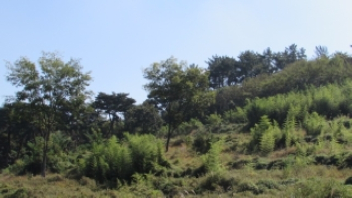 4번 ~ 26번 물건 묵전 전경