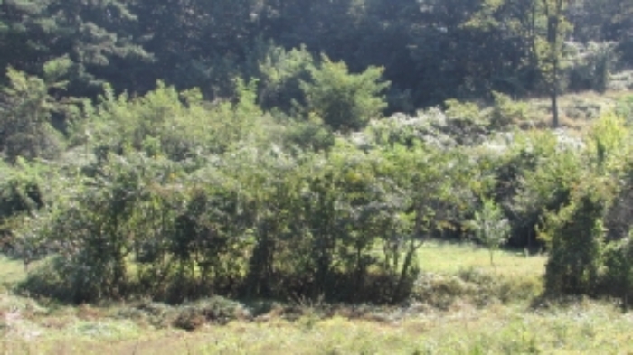 3번 물건 묵전 전경