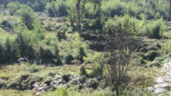 3번 물건 묵전 전경