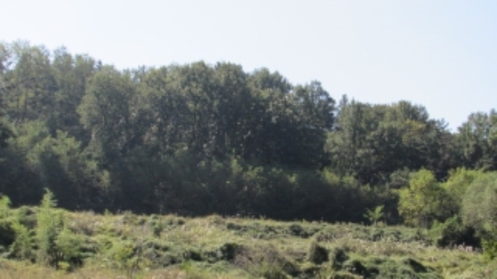 4번 ~ 26번 물건 묵전 전경