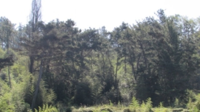 4번 ~ 26번 물건 묵전 전경