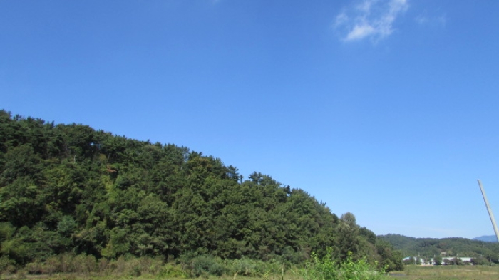 38번 ~ 45번 임야 전경