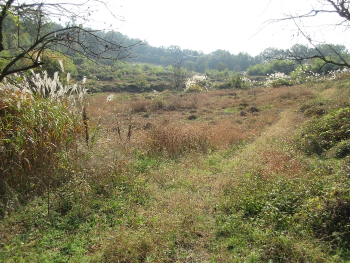 【 본 건 기호 1) 】