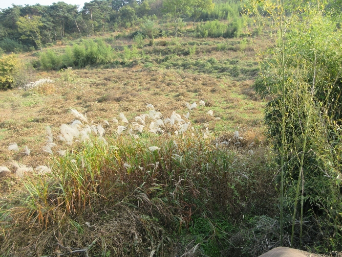 【 본 건 기호 2) 】