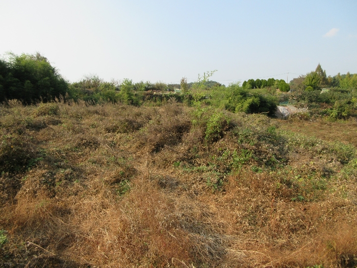 【 본 건 기호 3) 】