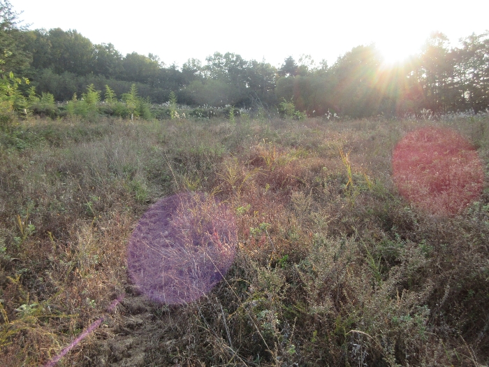 【 본 건 기호 5) 】