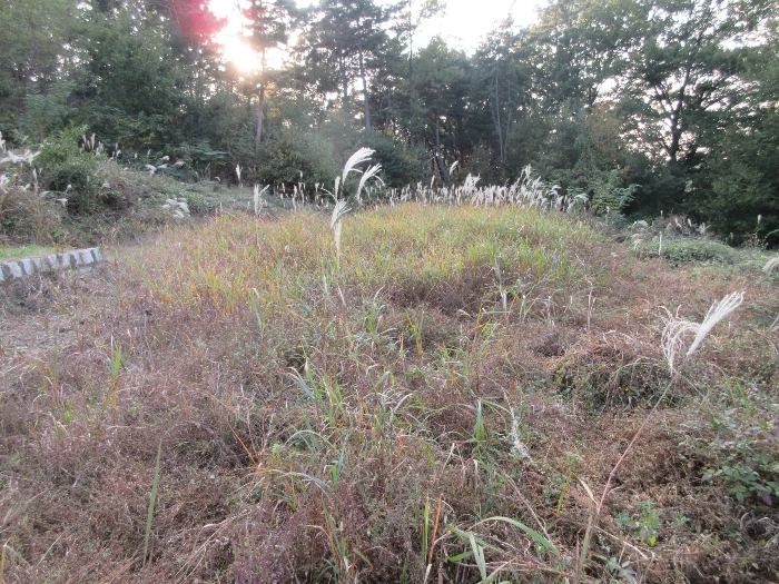 【 본 건 기호 7) 】