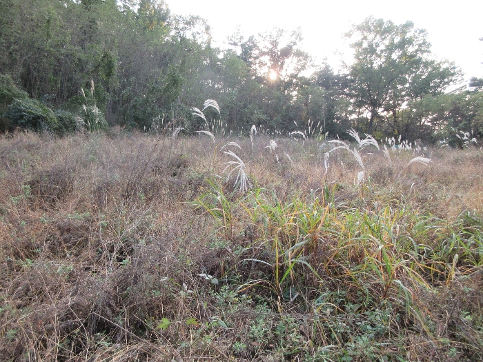 【 본 건 기호 8) 】