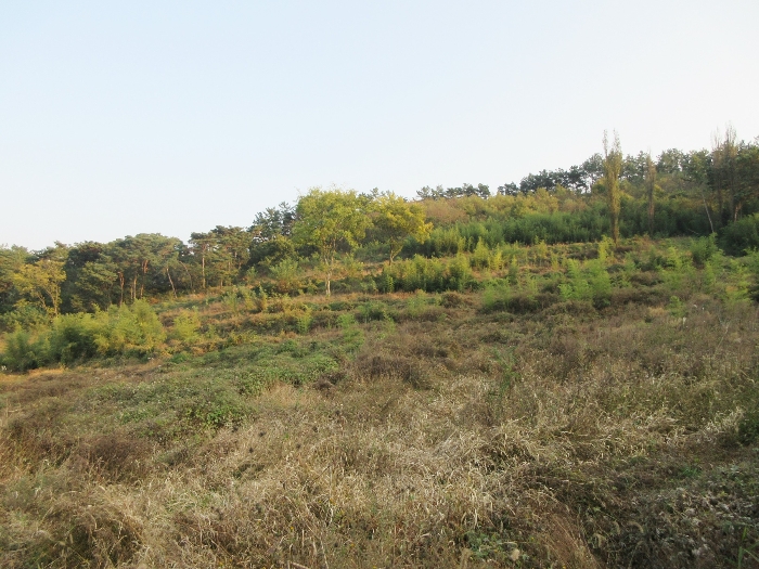 【 본 건 및 주위 환경 】