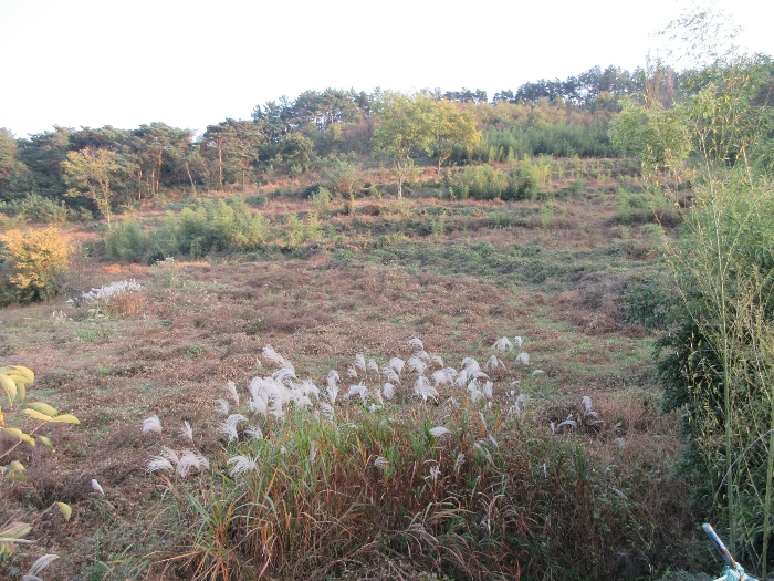 【 본 건 및 주위 환경 】