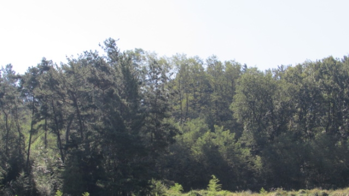 4번 ~ 26번 물건 묵전 전경