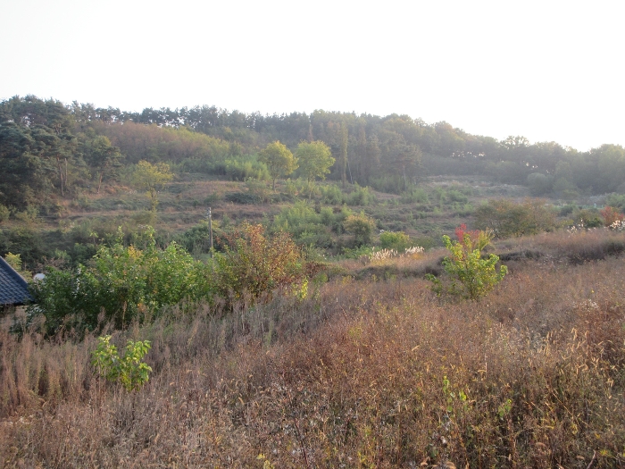【 본 건 및 주위 환경 】