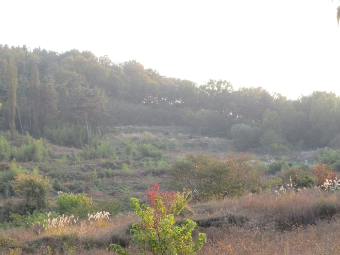 【 본 건 및 주위 환경 】