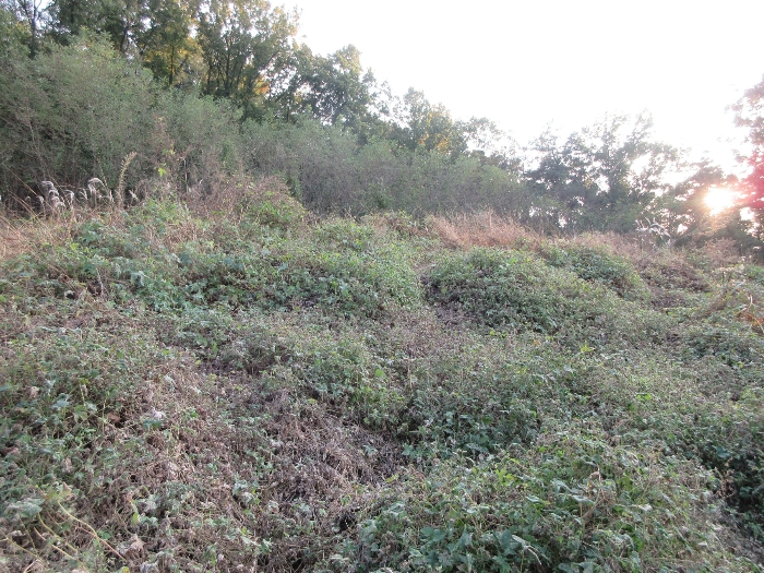 【 본 건 기호 39) 】