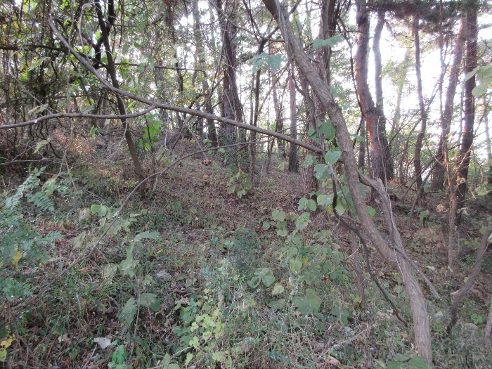 【 본 건 기호 40) 】