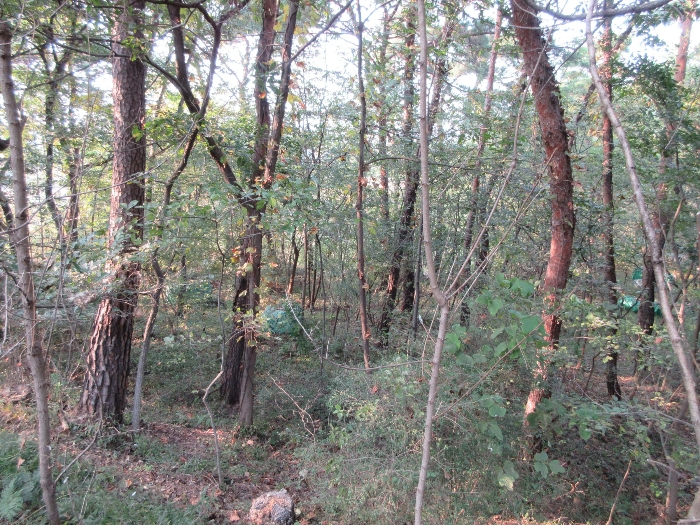 【 본 건 기호 41) 】