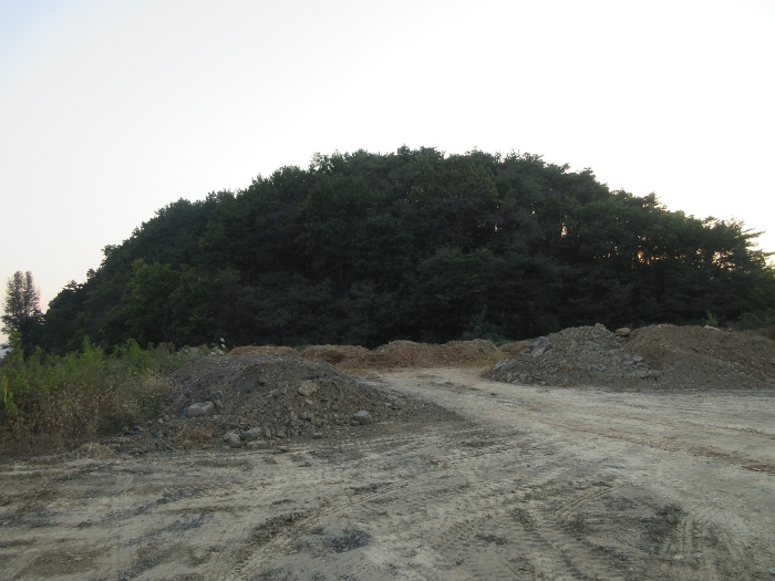 【 본 건 기호 43) 】