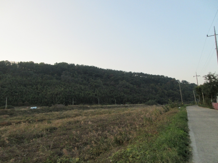 【 본 건 기호 44) 】