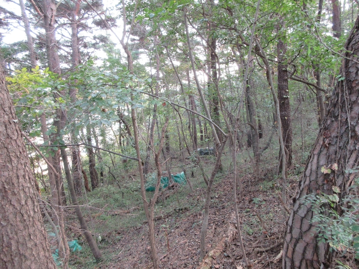 【 본 건 기호 44) 】