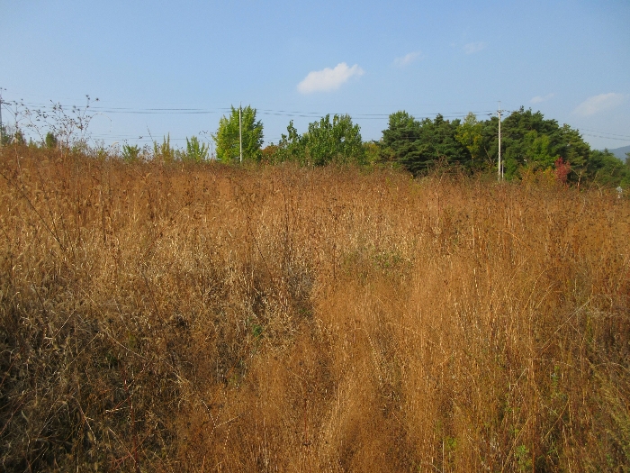 【 본 건 기호 27) 】