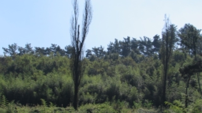 4번 ~ 26번 물건 묵전 전경