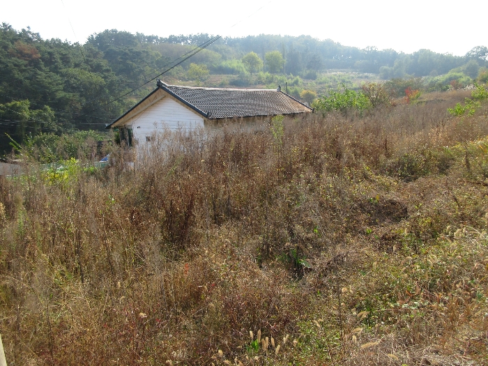 【 본 건 기호 31) 】