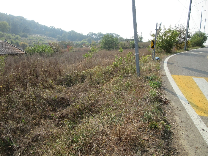 【 본 건 기호 33) 】