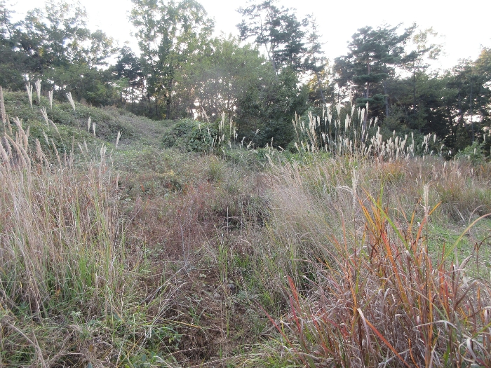 【 본 건 기호 34) 】