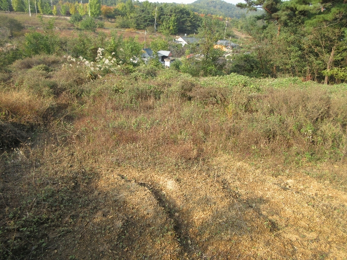 【 본 건 기호 36), 42) 】