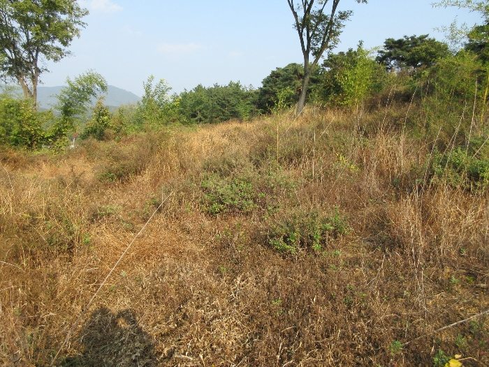 【 본 건 기호 12) 】